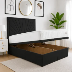 Black PLUSH VELVET