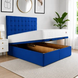Blue Plush Velvet