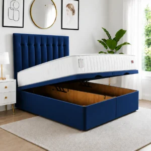 Blue Plush Velvet