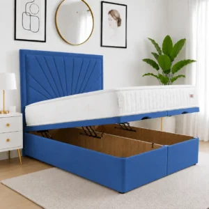 Blue Plush Velvet