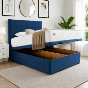 Blue Plush Velvet