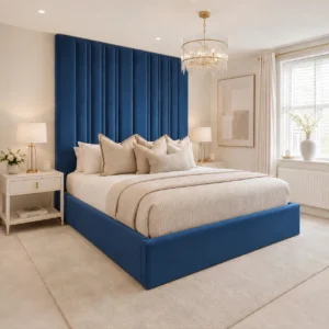 Blue Plush Velvet